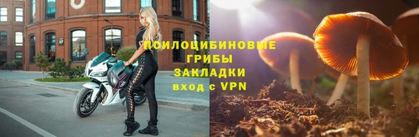 кокс Няндома