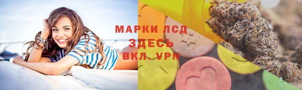 прущие грибы Нязепетровск