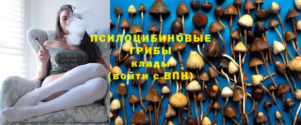 кокс Няндома