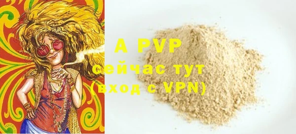 прущие грибы Нязепетровск