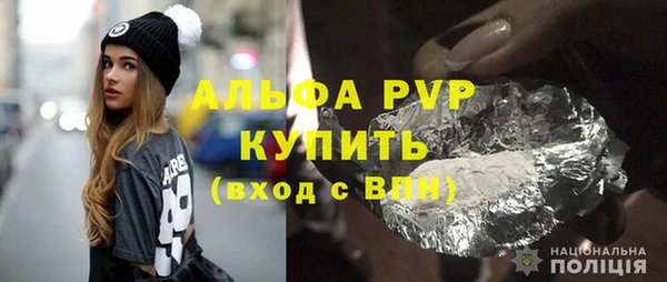 прущие грибы Нязепетровск